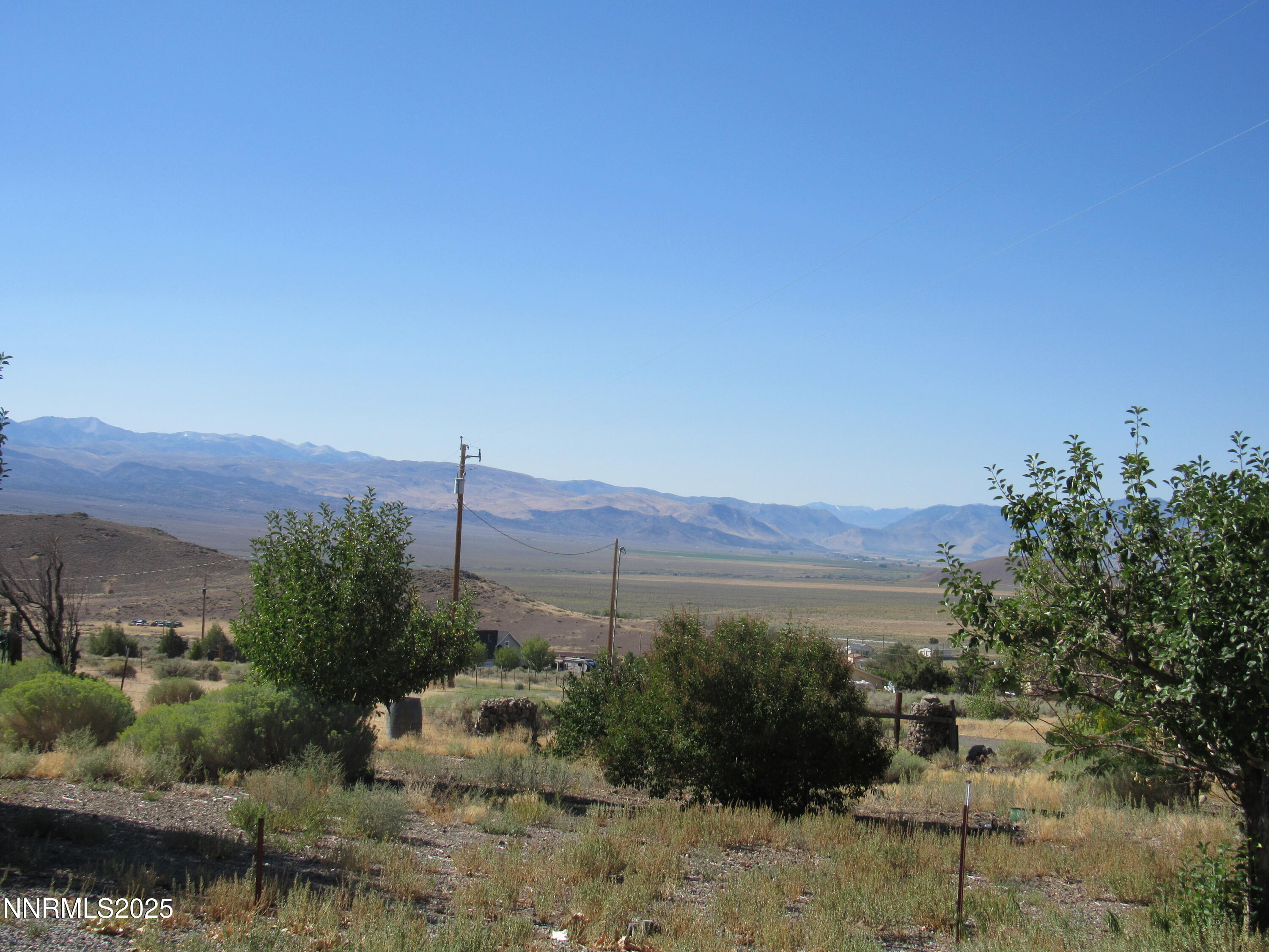 4151 Gray Hills Road Wellington, NV 89444 - Photo 3 of 25 a view of a field with a tree in the background