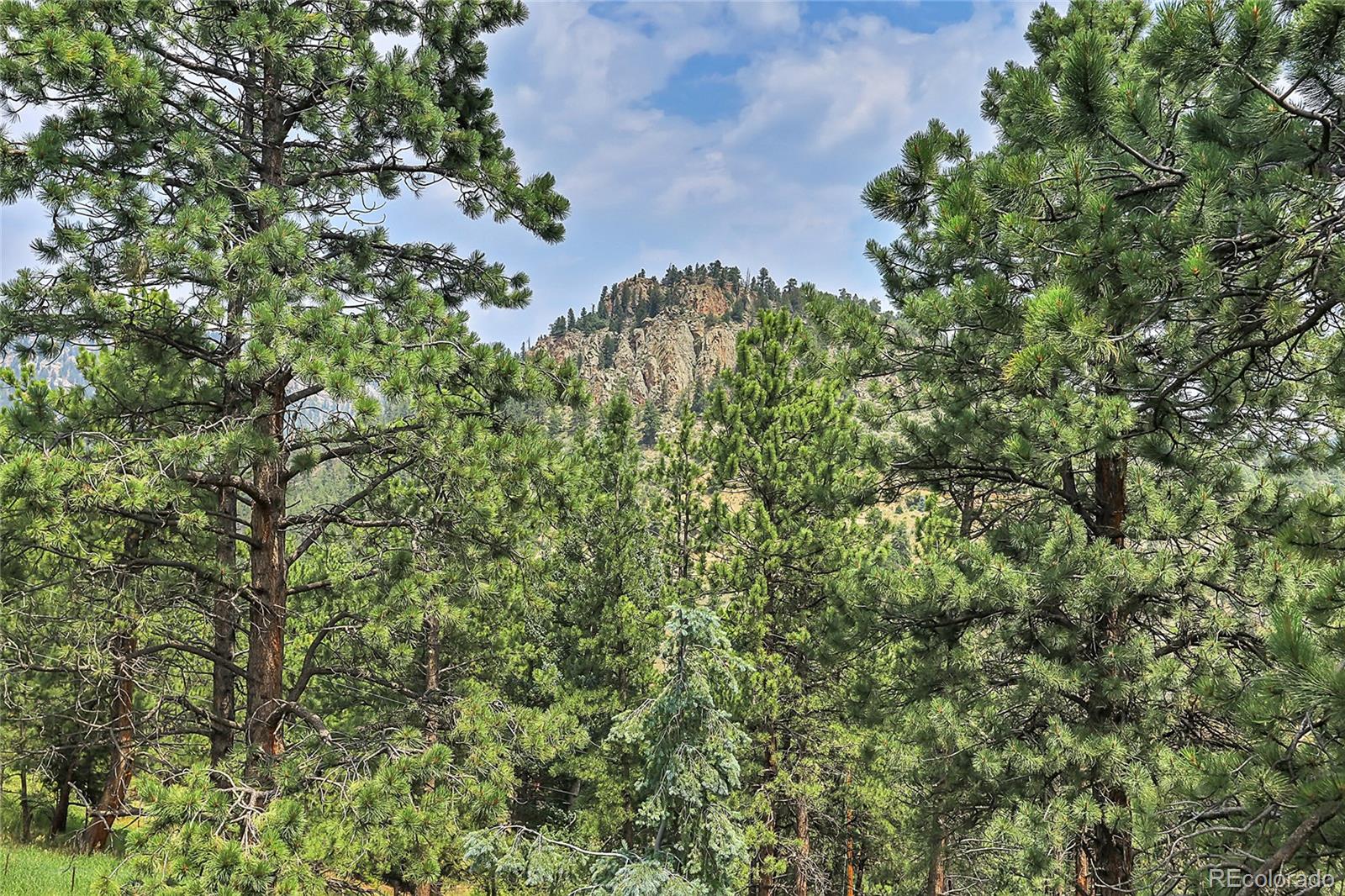 2063 Roland Drive Bailey, CO 80421 - Photo 8 of 49 an aerial view of a house with a yard