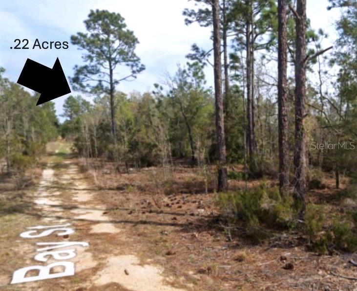 Xx Bay Street Interlachen, FL 32148 - Photo 2 of 7