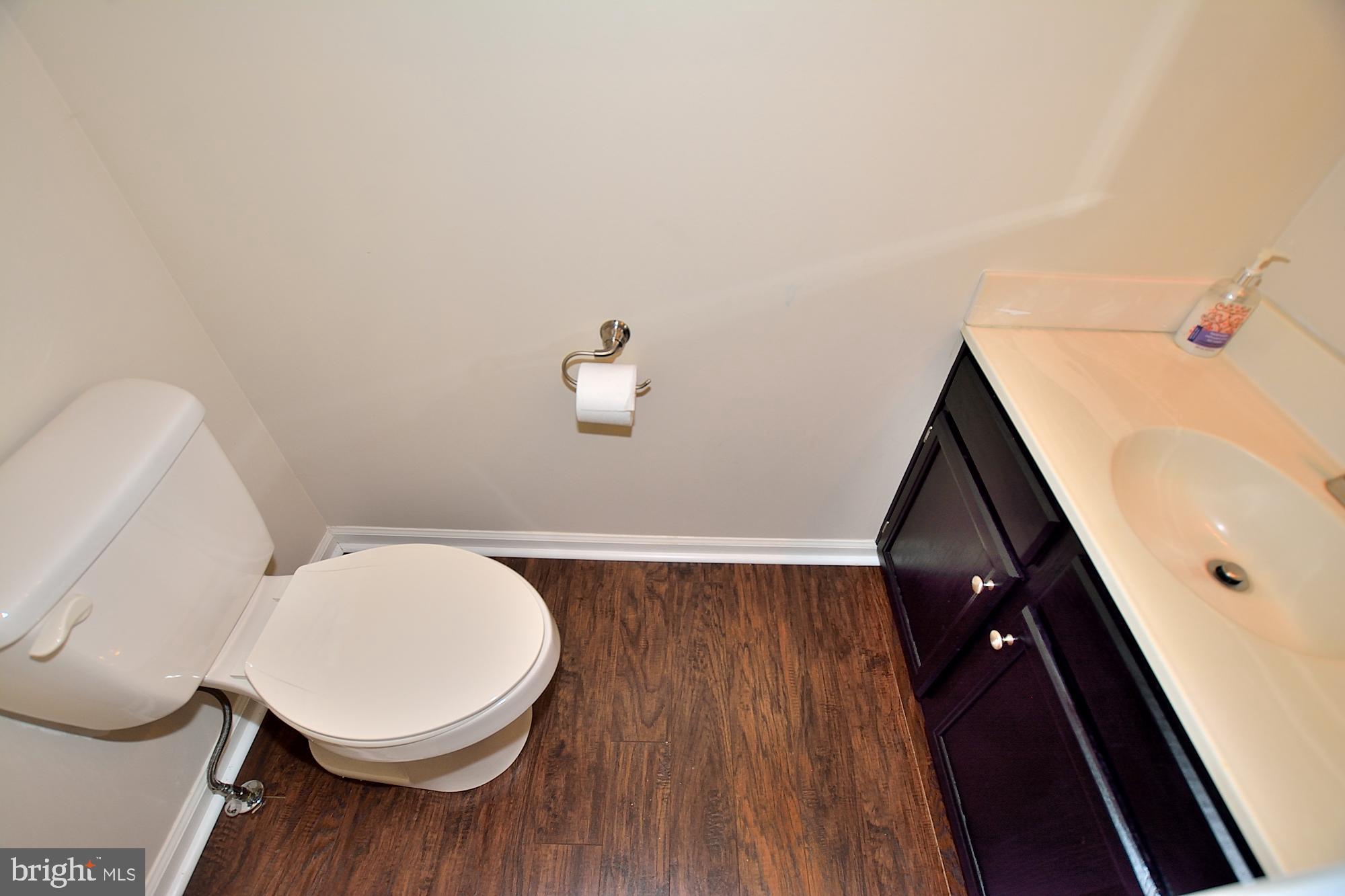46878 Rabbitrun Terrace Sterling, VA 20164 - Photo 16 of 31 Powder Room on main level