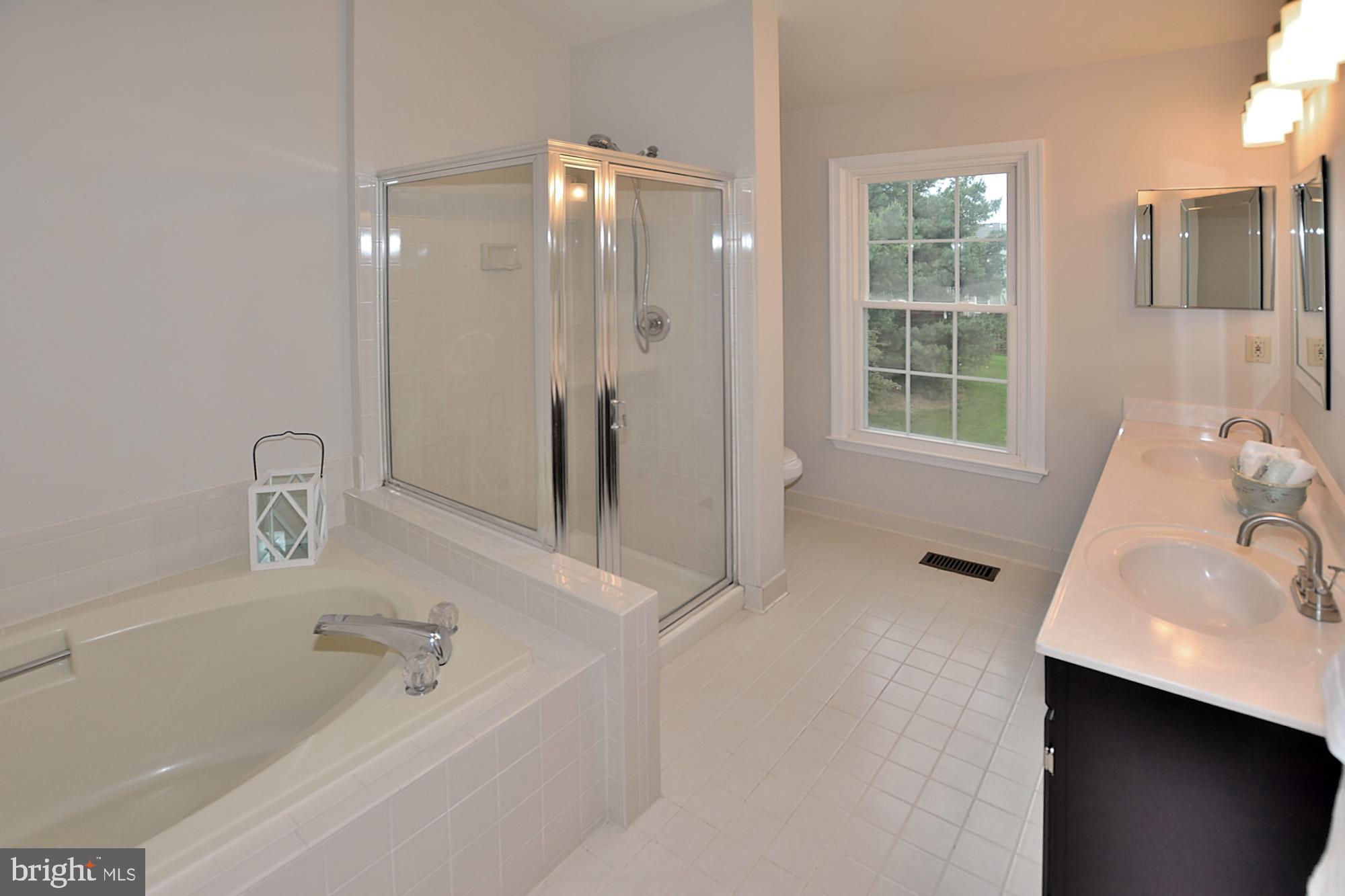 46878 Rabbitrun Terrace Sterling, VA 20164 - Photo 19 of 31 Large master bath