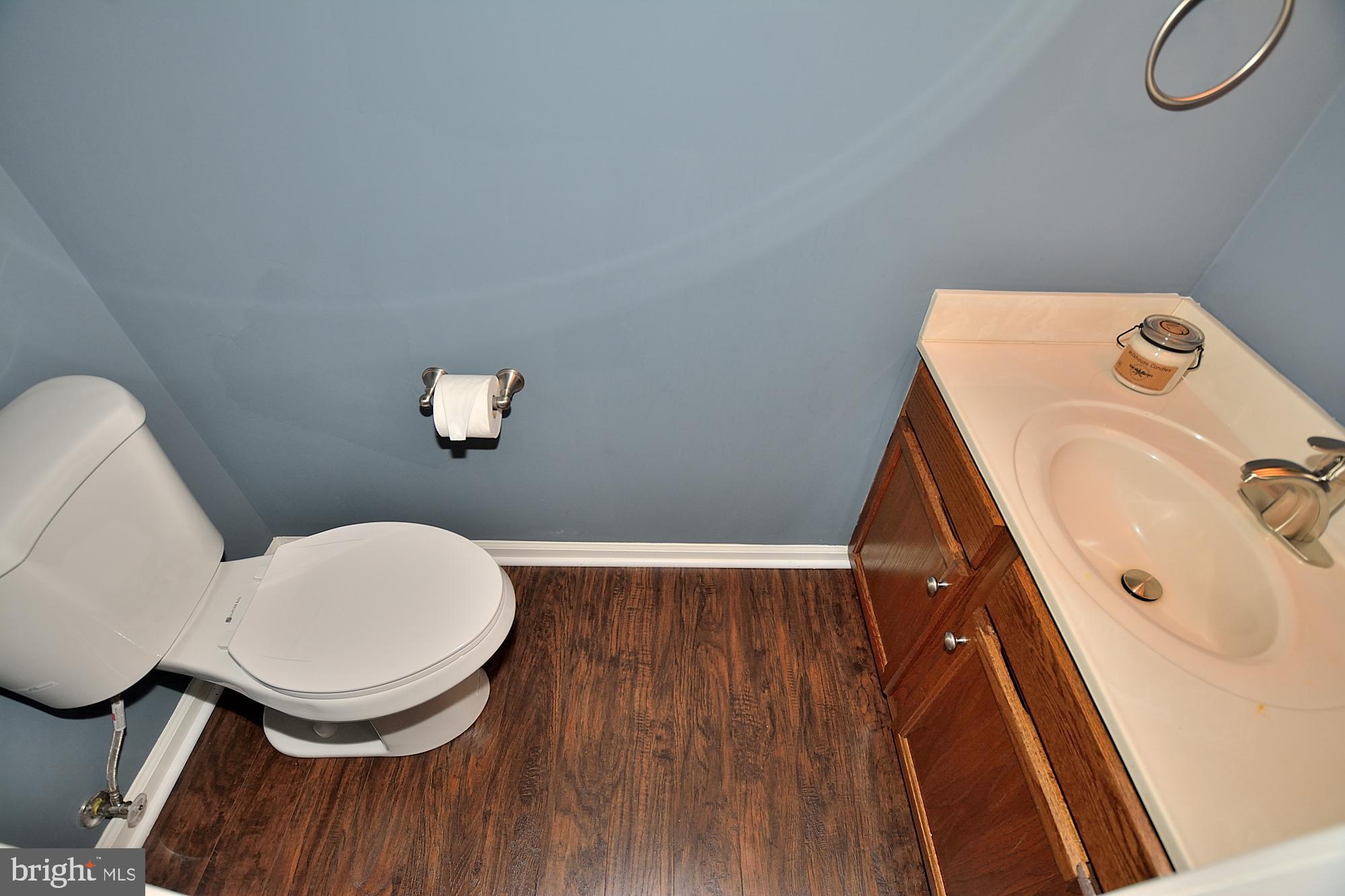 46878 Rabbitrun Terrace Sterling, VA 20164 - Photo 23 of 31 Powder room on lower level