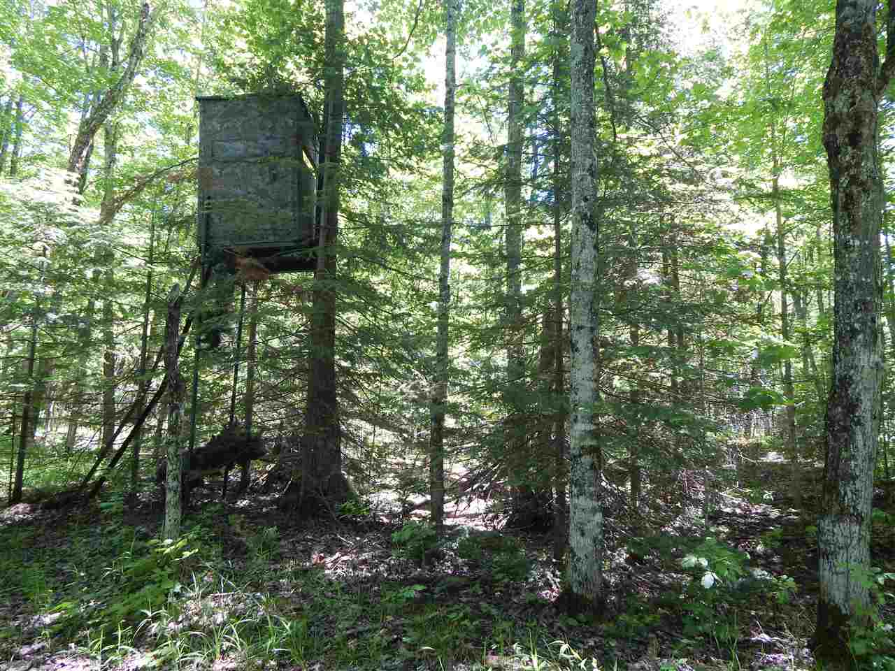 2434 Low Highrolloway Road Manistique, MI 49854 - Photo 57 of 96 1802122-57.JPG