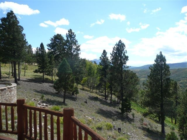 185 South Point Road Placerville, CO 81430 - Photo 3 of 15 Additional Photo
