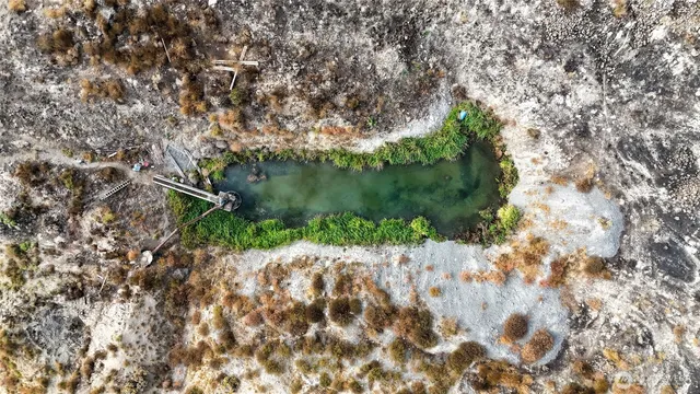 a view of a lake with a tree