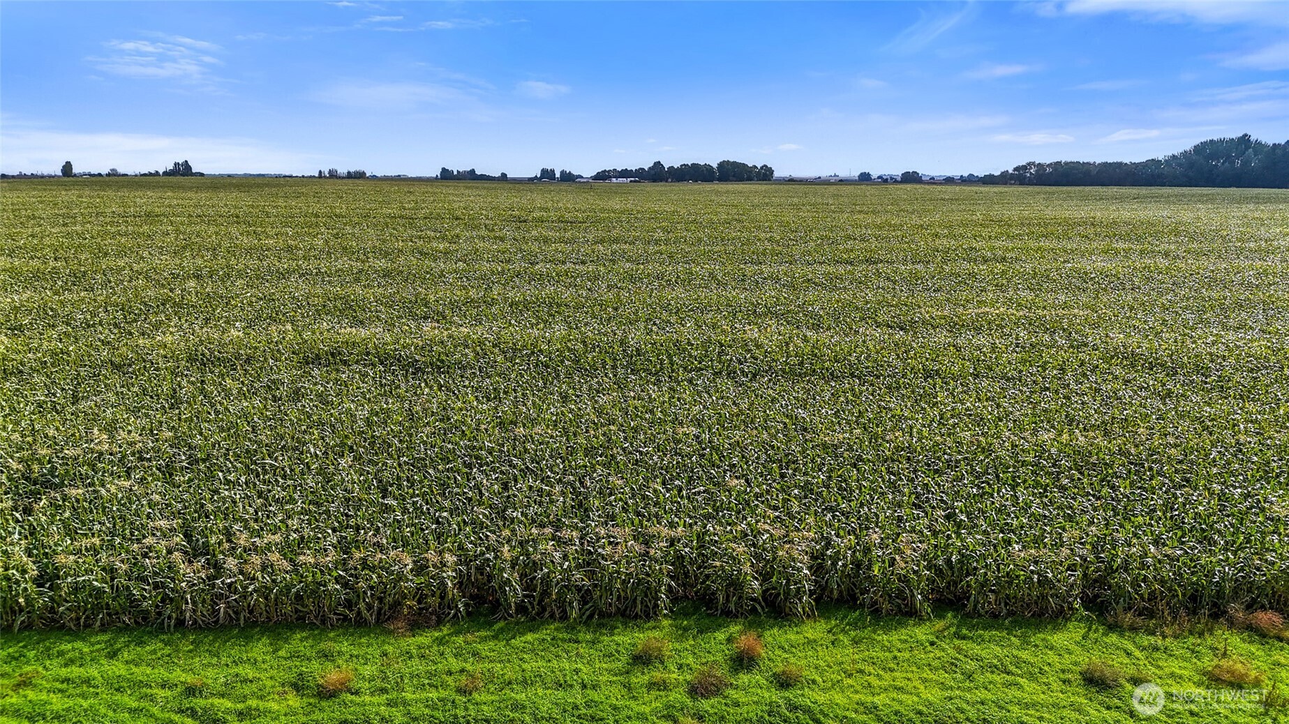0 Parcel 31-3198-000 Ephrata, WA 98823 - Photo 13 of 13 a view of a ocean