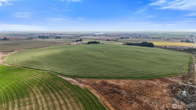 an aerial view of a houses with outdoor space
