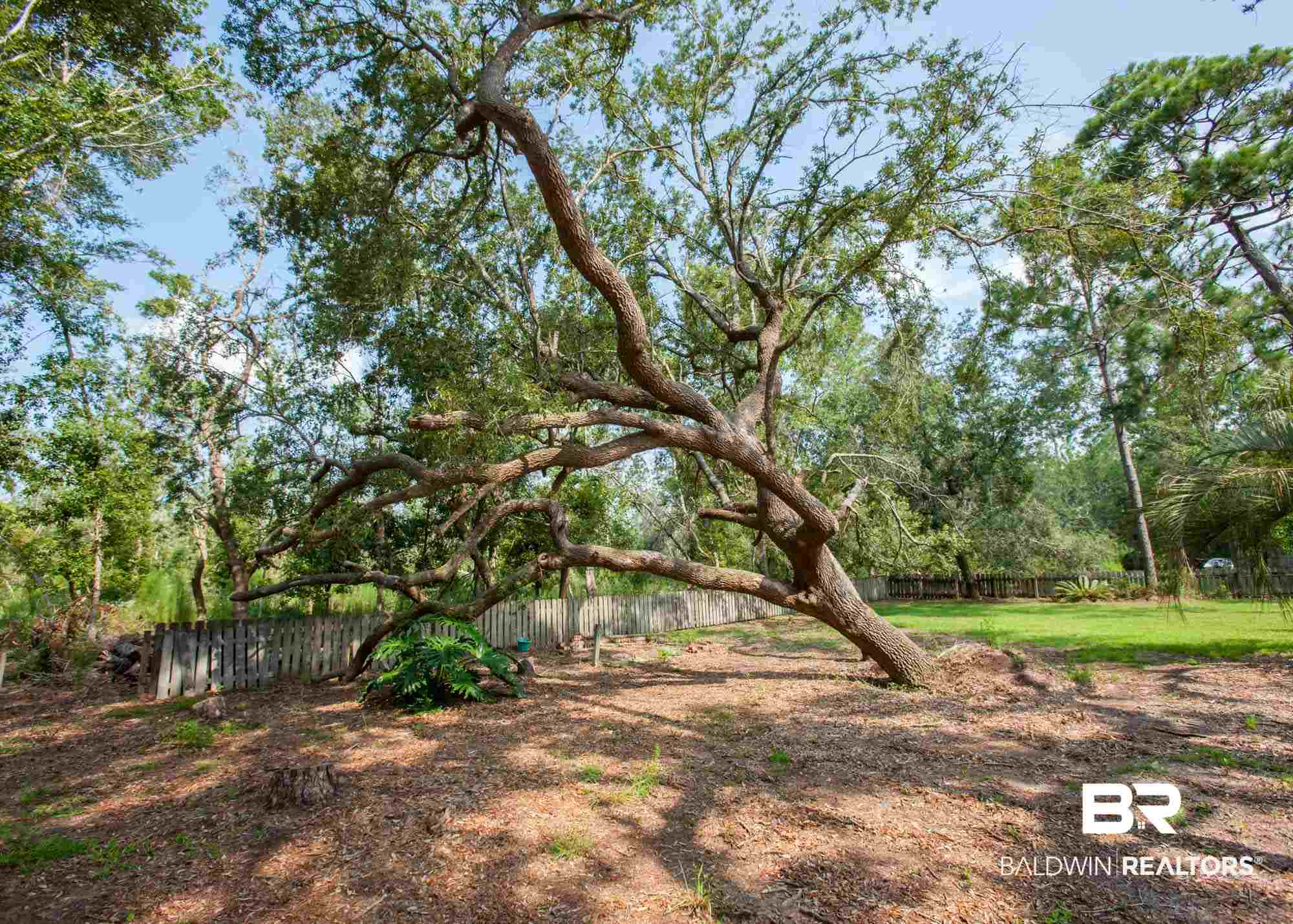 8311 Pinewood Drive Foley, AL 36535 - Photo 10 of 41