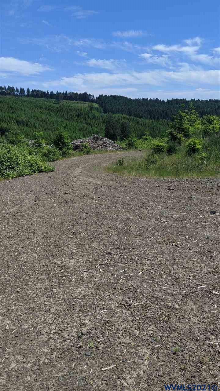 Northwest Timmerman Road Forest Grove, OR 97116 - Photo 10 of 17 Gallery Image 10