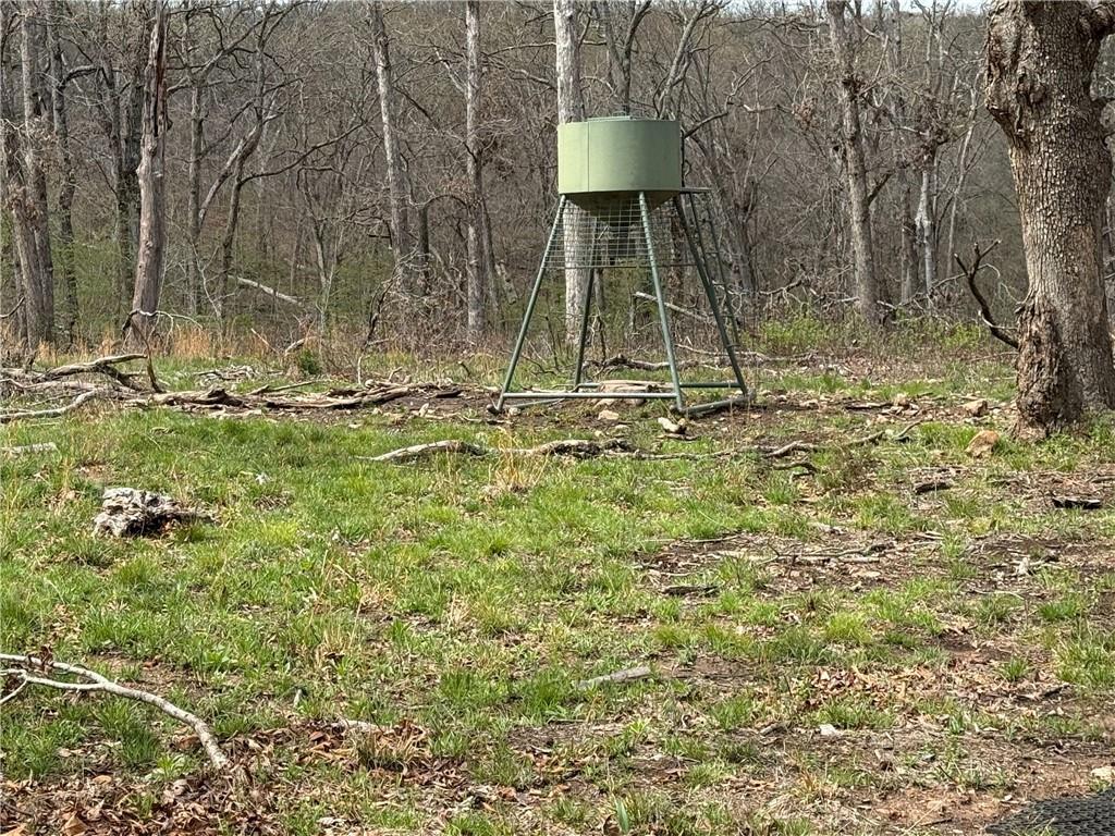 991 Southeast 976 Road Deepwater, MO 64740 - Photo 2 of 56