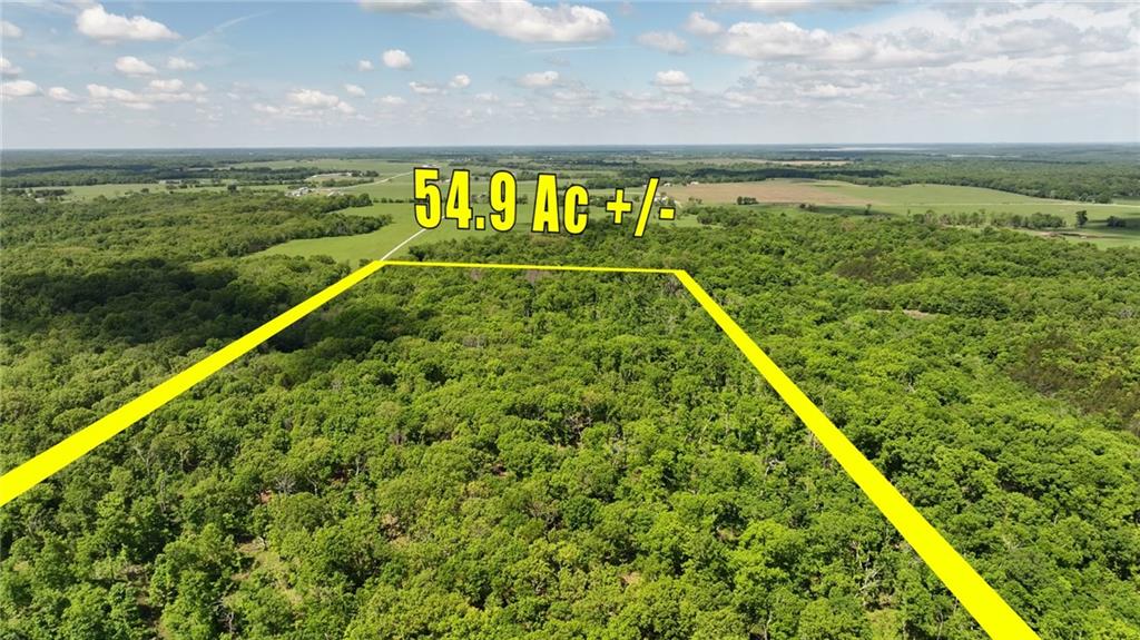 991 Southeast 976 Road Deepwater, MO 64740 - Photo 2 of 79