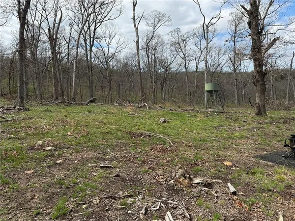 $325,000 | 991 Southeast 976 Road, Deepwater, MO 64740