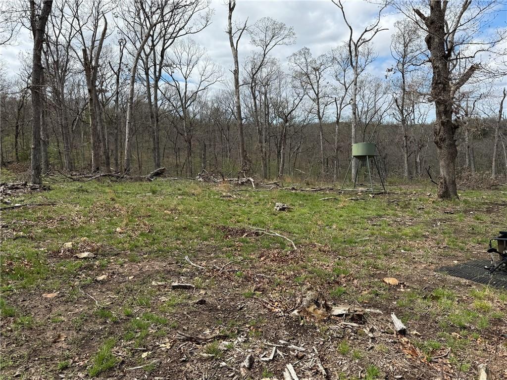 991 Southeast 976 Road Deepwater, MO 64740 - Photo 3 of 56