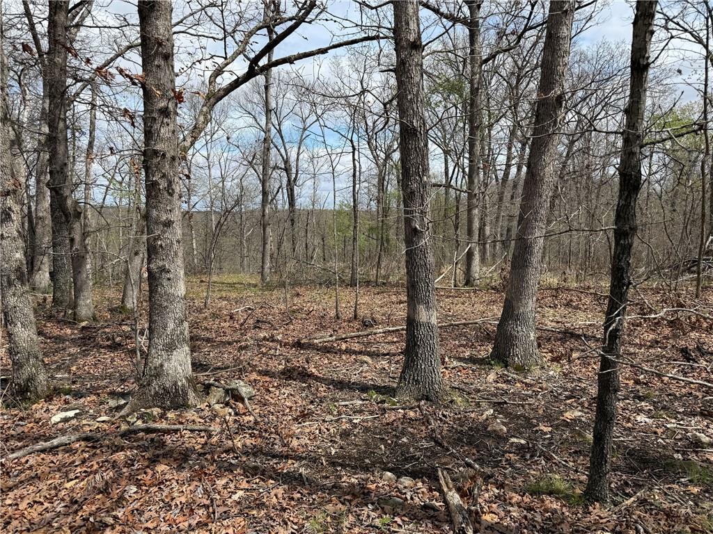 991 Southeast 976 Road Deepwater, MO 64740 - Photo 37 of 56