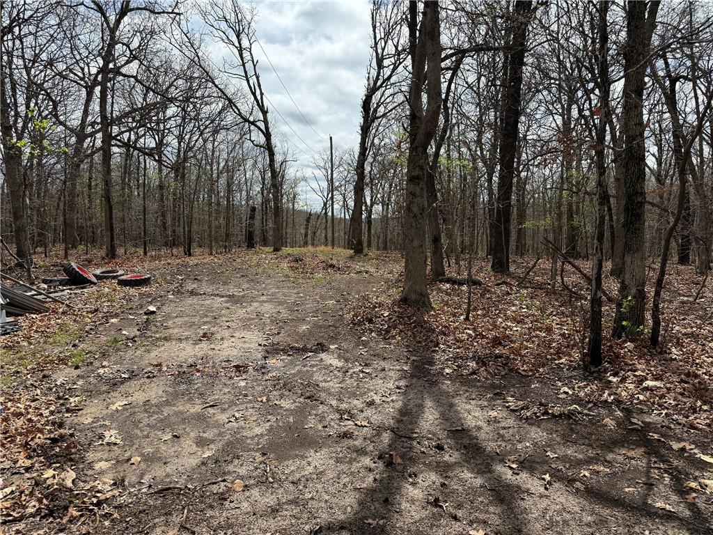 991 Southeast 976 Road Deepwater, MO 64740 - Photo 39 of 56