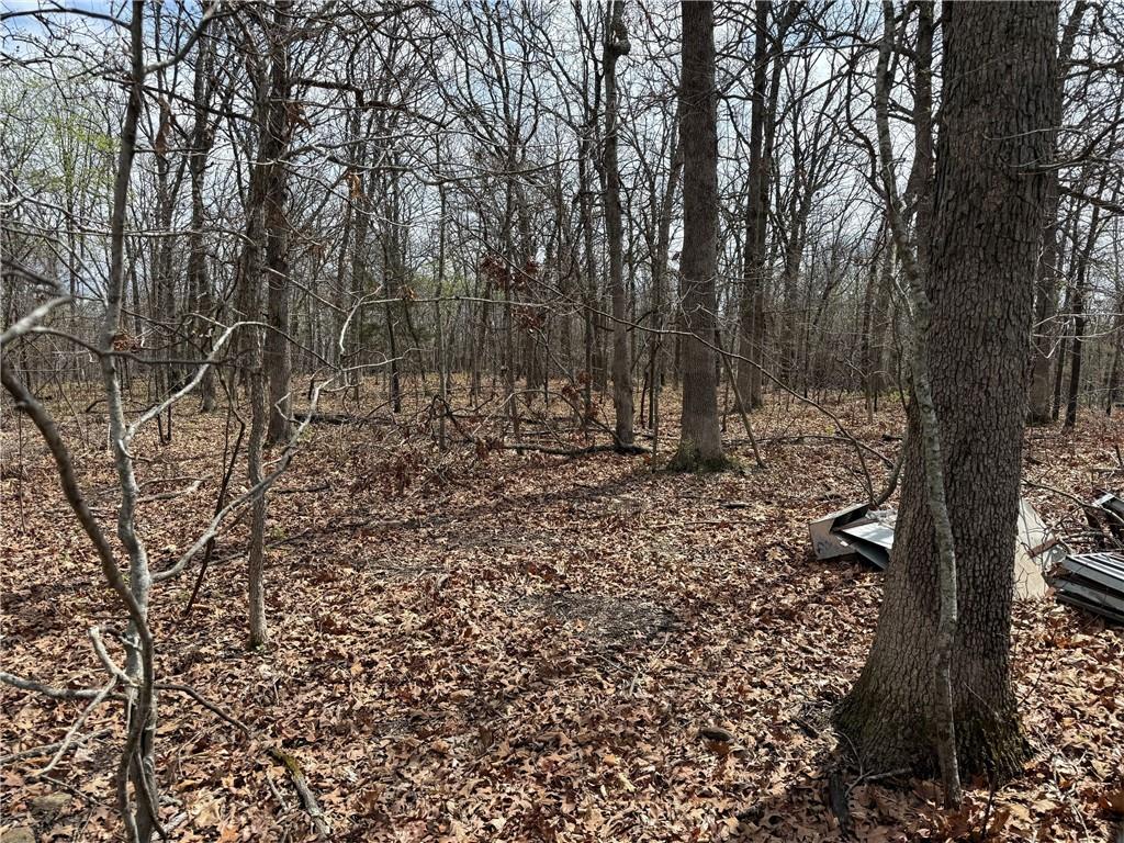 991 Southeast 976 Road Deepwater, MO 64740 - Photo 40 of 56