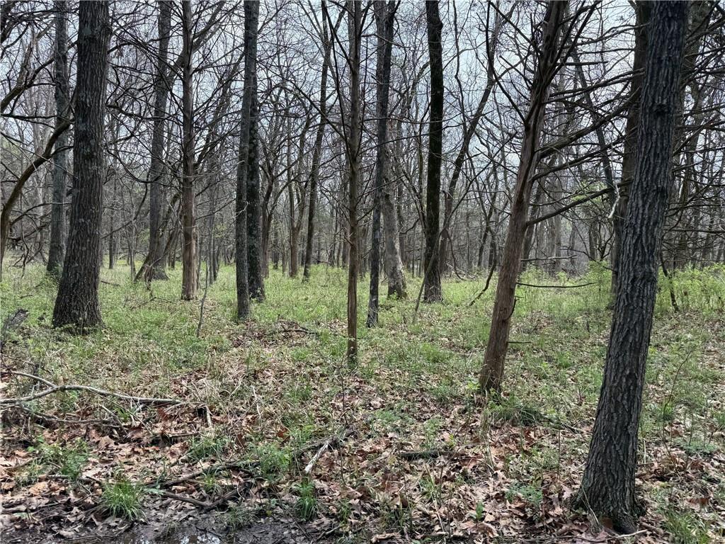 991 Southeast 976 Road Deepwater, MO 64740 - Photo 4 of 56