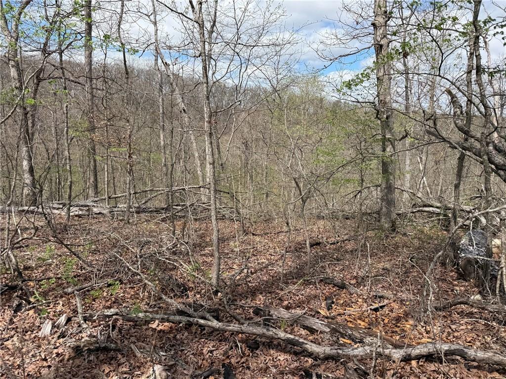 991 Southeast 976 Road Deepwater, MO 64740 - Photo 41 of 56