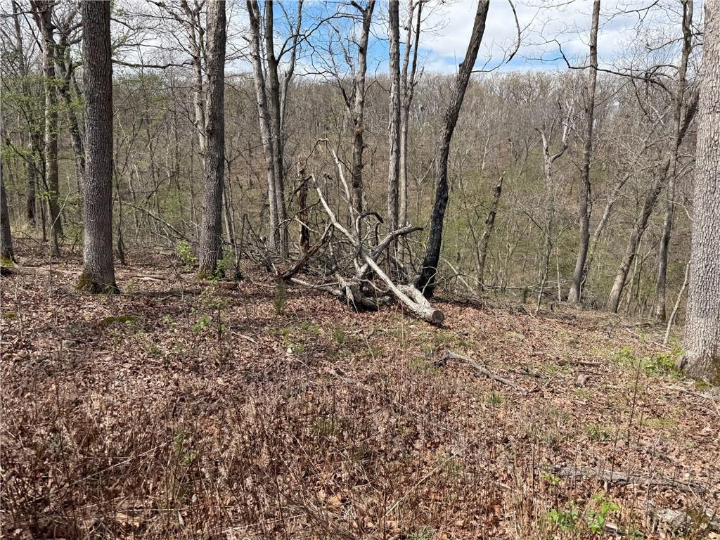 991 Southeast 976 Road Deepwater, MO 64740 - Photo 42 of 56