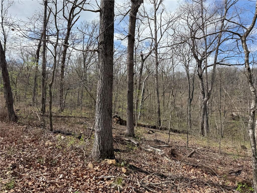 991 Southeast 976 Road Deepwater, MO 64740 - Photo 43 of 56