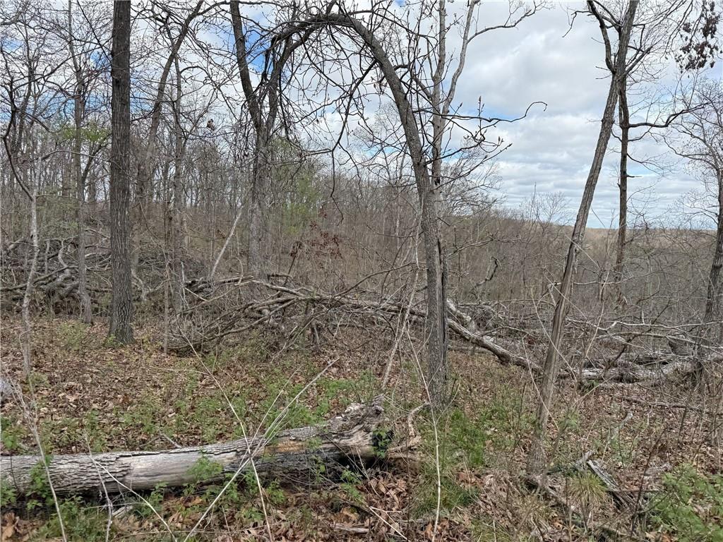 991 Southeast 976 Road Deepwater, MO 64740 - Photo 46 of 56