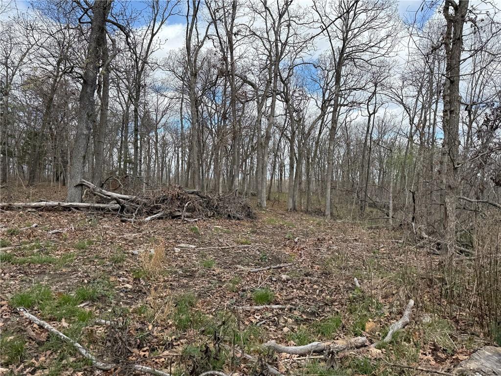 991 Southeast 976 Road Deepwater, MO 64740 - Photo 47 of 56