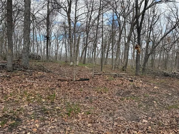 $325,000 | 991 Southeast 976 Road, Deepwater, MO 64740