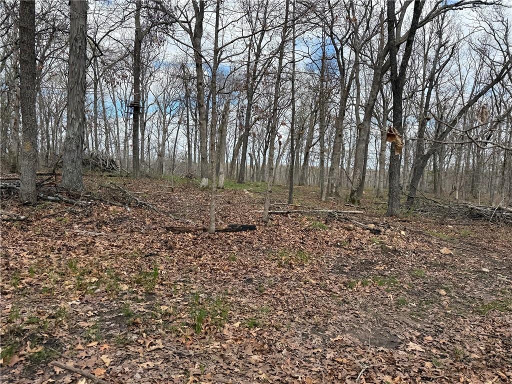 991 Southeast 976 Road Deepwater, MO 64740 - Photo 48 of 56