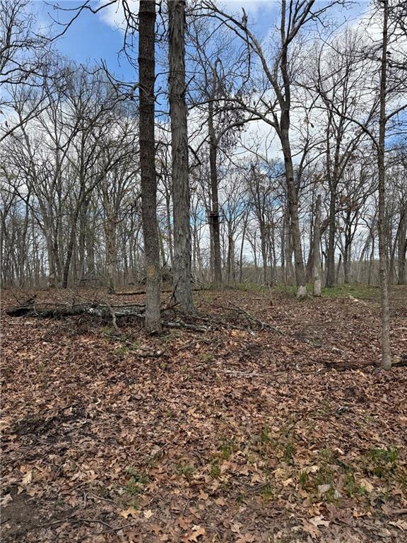 991 Southeast 976 Road Deepwater, MO 64740 - Photo 49 of 56