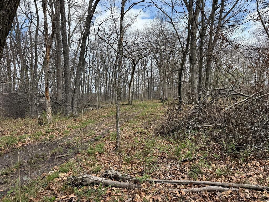 991 Southeast 976 Road Deepwater, MO 64740 - Photo 50 of 56