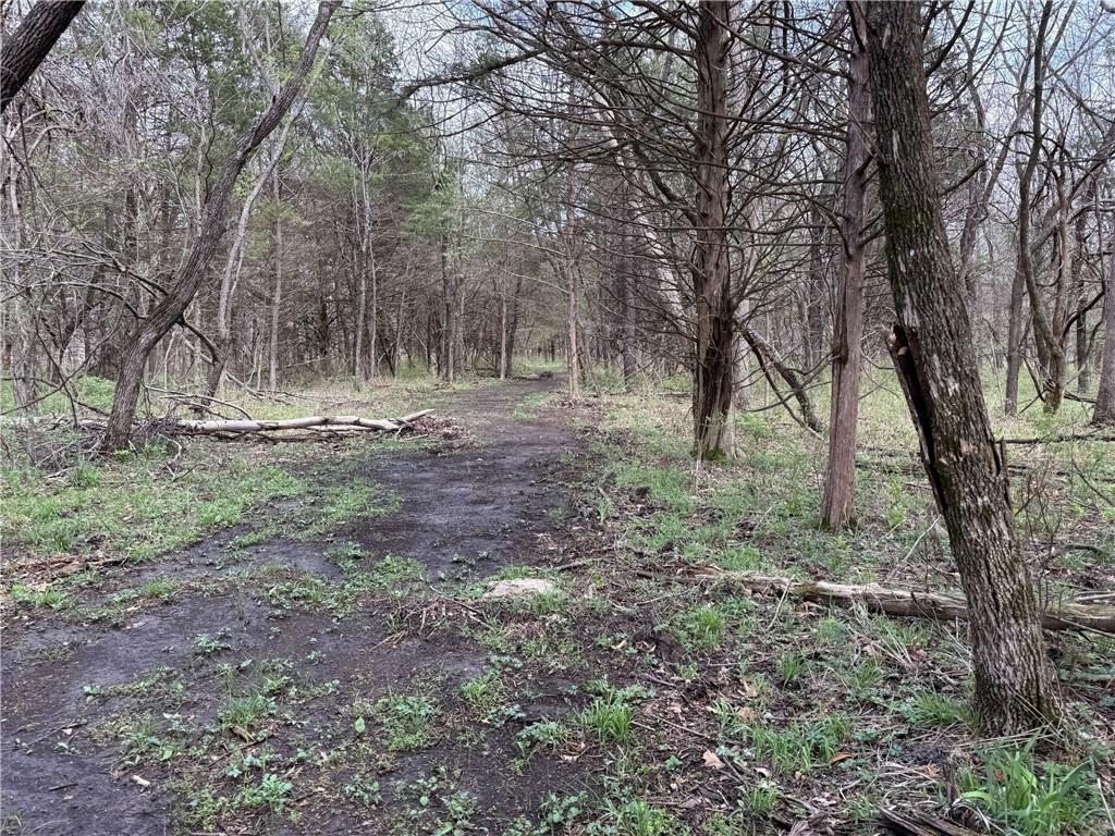 991 Southeast 976 Road Deepwater, MO 64740 - Photo 5 of 56