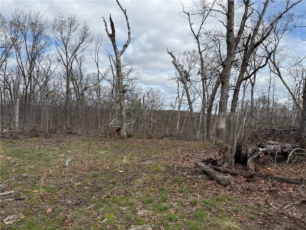 991 Southeast 976 Road Deepwater, MO 64740 - Photo 51 of 56