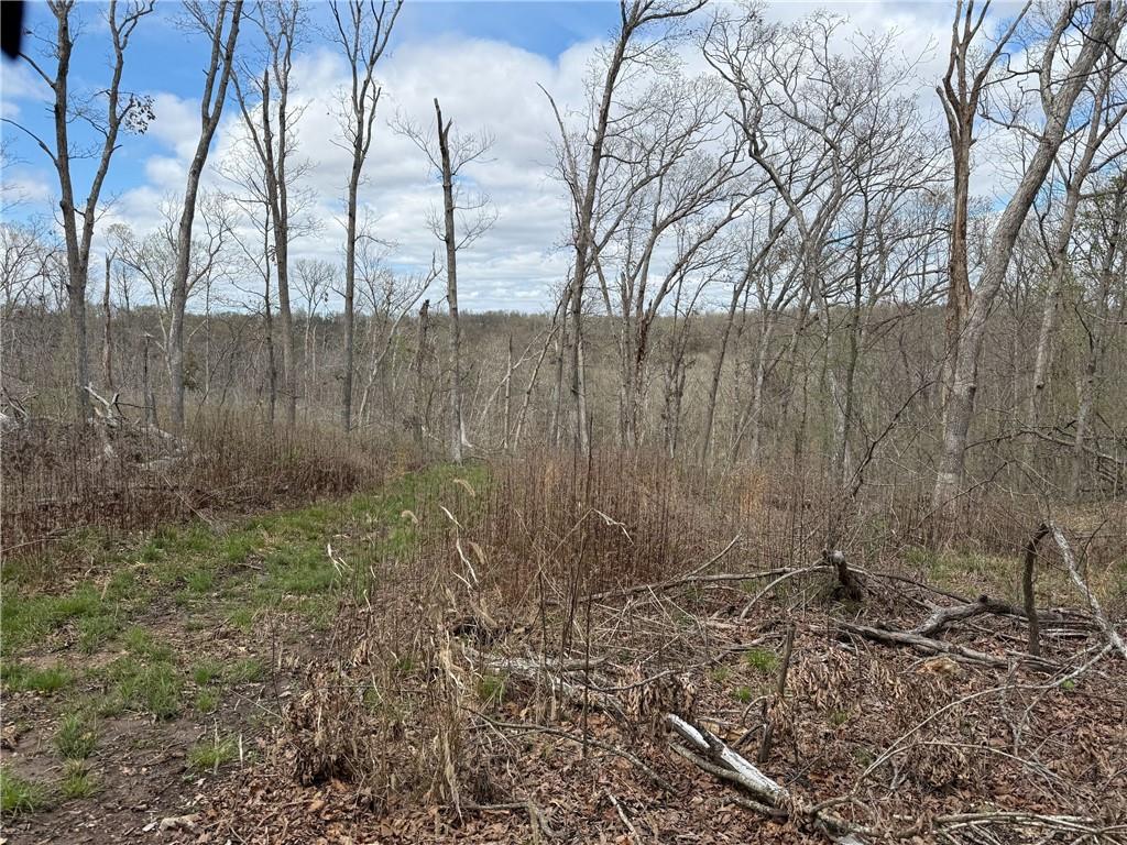 991 Southeast 976 Road Deepwater, MO 64740 - Photo 52 of 56