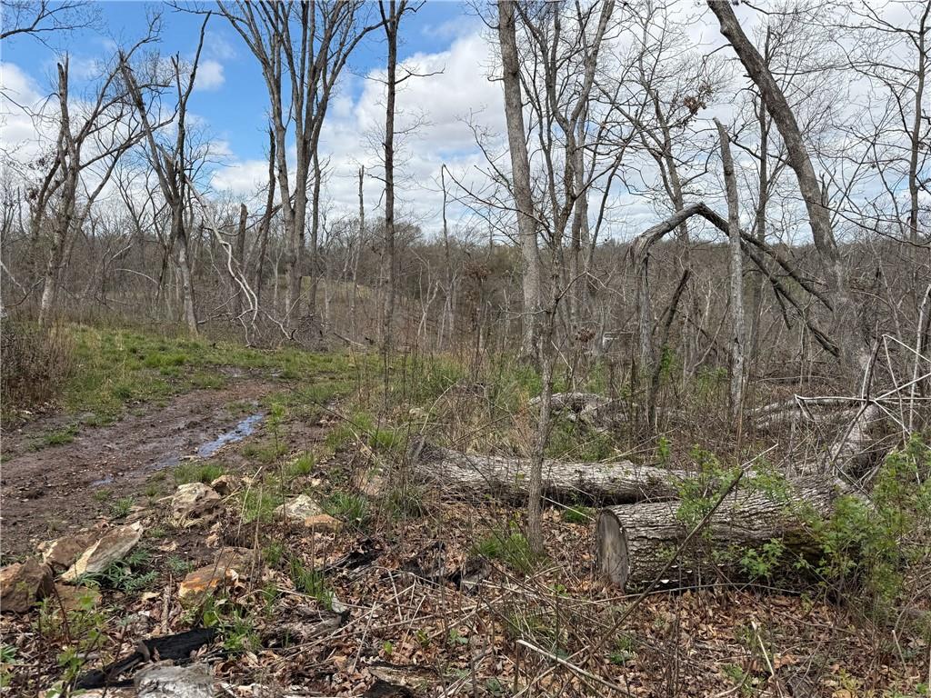 991 Southeast 976 Road Deepwater, MO 64740 - Photo 53 of 56