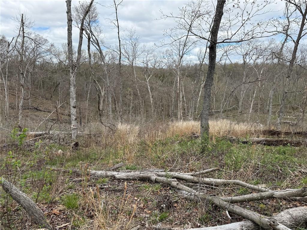 991 Southeast 976 Road Deepwater, MO 64740 - Photo 55 of 56