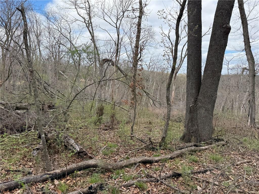 991 Southeast 976 Road Deepwater, MO 64740 - Photo 56 of 56