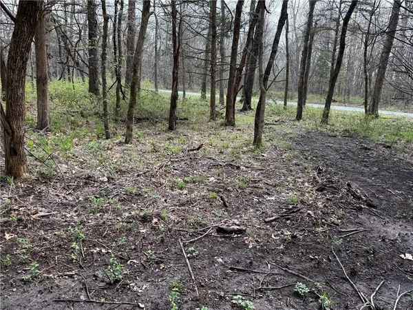 $325,000 | 991 Southeast 976 Road, Deepwater, MO 64740