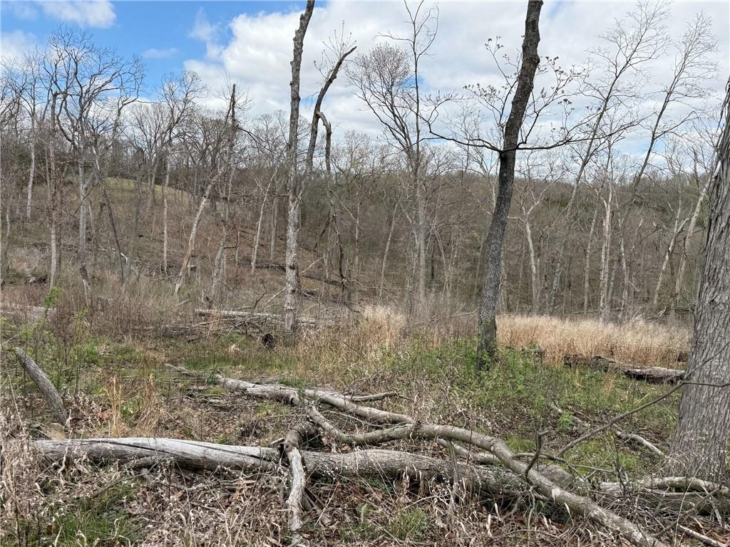 991 Southeast 976 Road Deepwater, MO 64740 - Photo 67 of 79