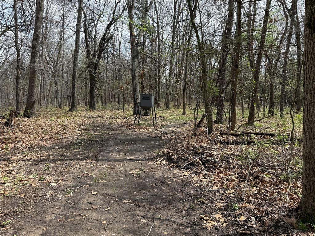 991 Southeast 976 Road Deepwater, MO 64740 - Photo 7 of 56