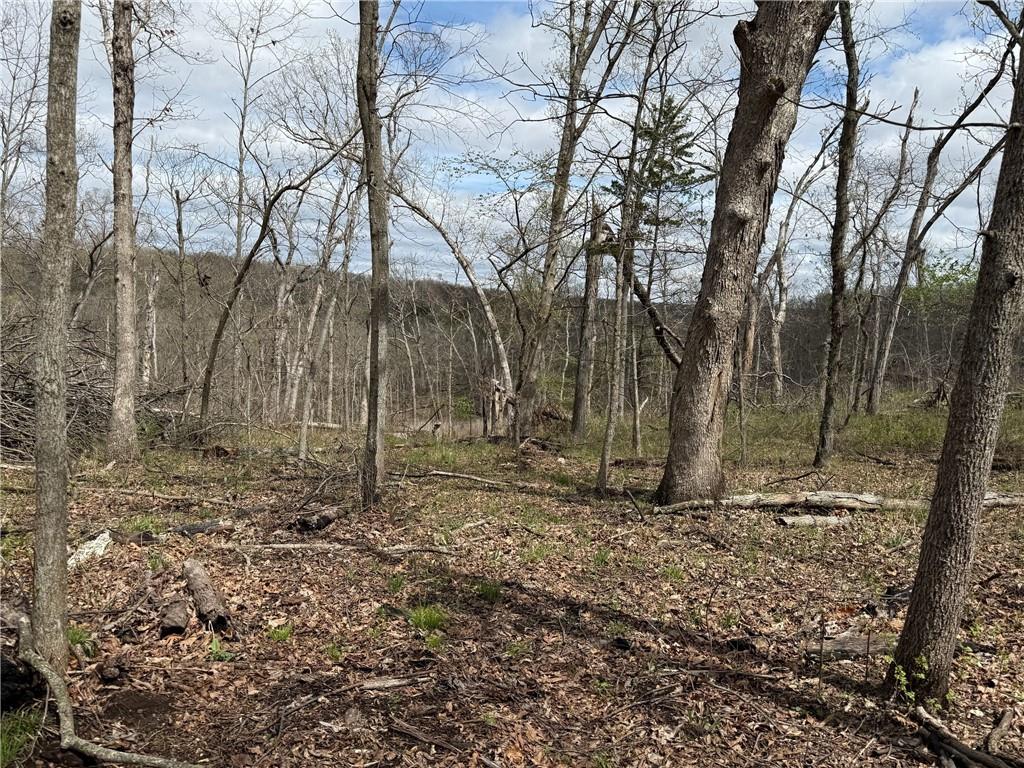 991 Southeast 976 Road Deepwater, MO 64740 - Photo 8 of 56