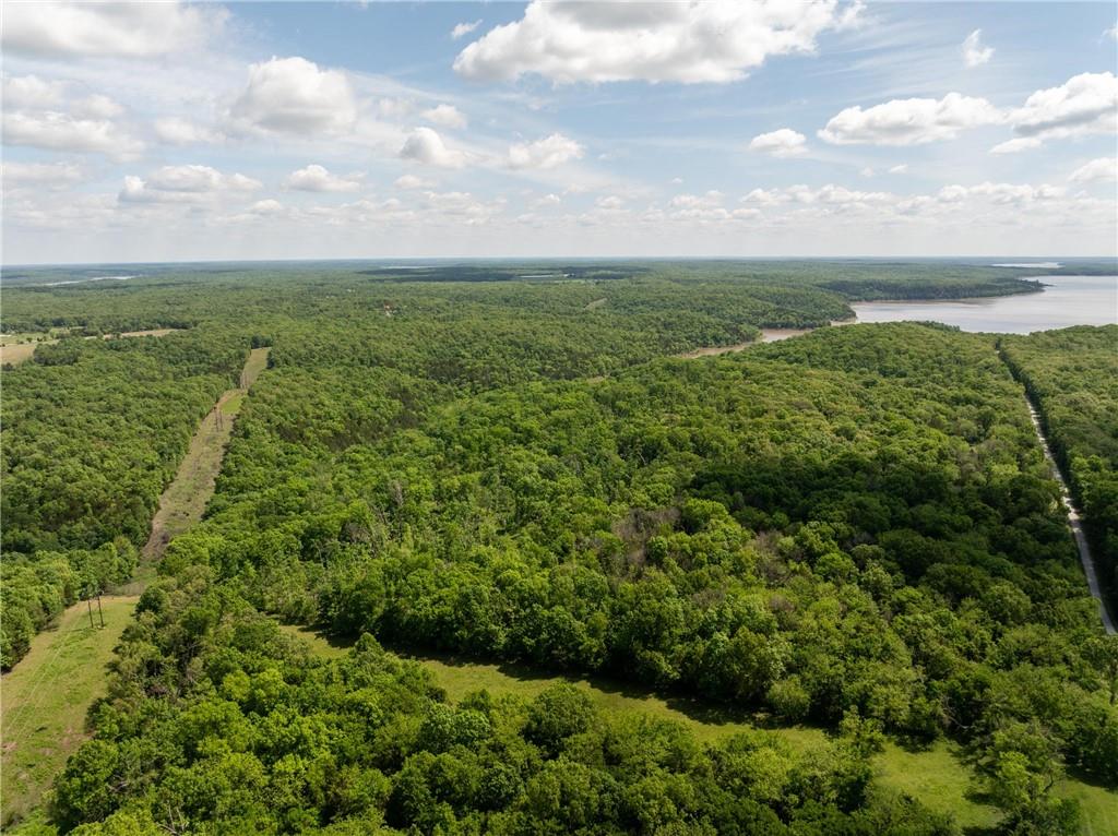 991 Southeast 976 Road Deepwater, MO 64740 - Photo 8 of 79