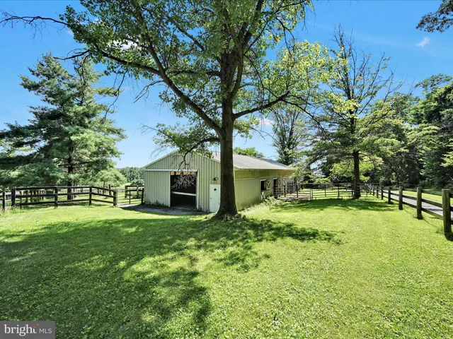 a view of a backyard with large trees