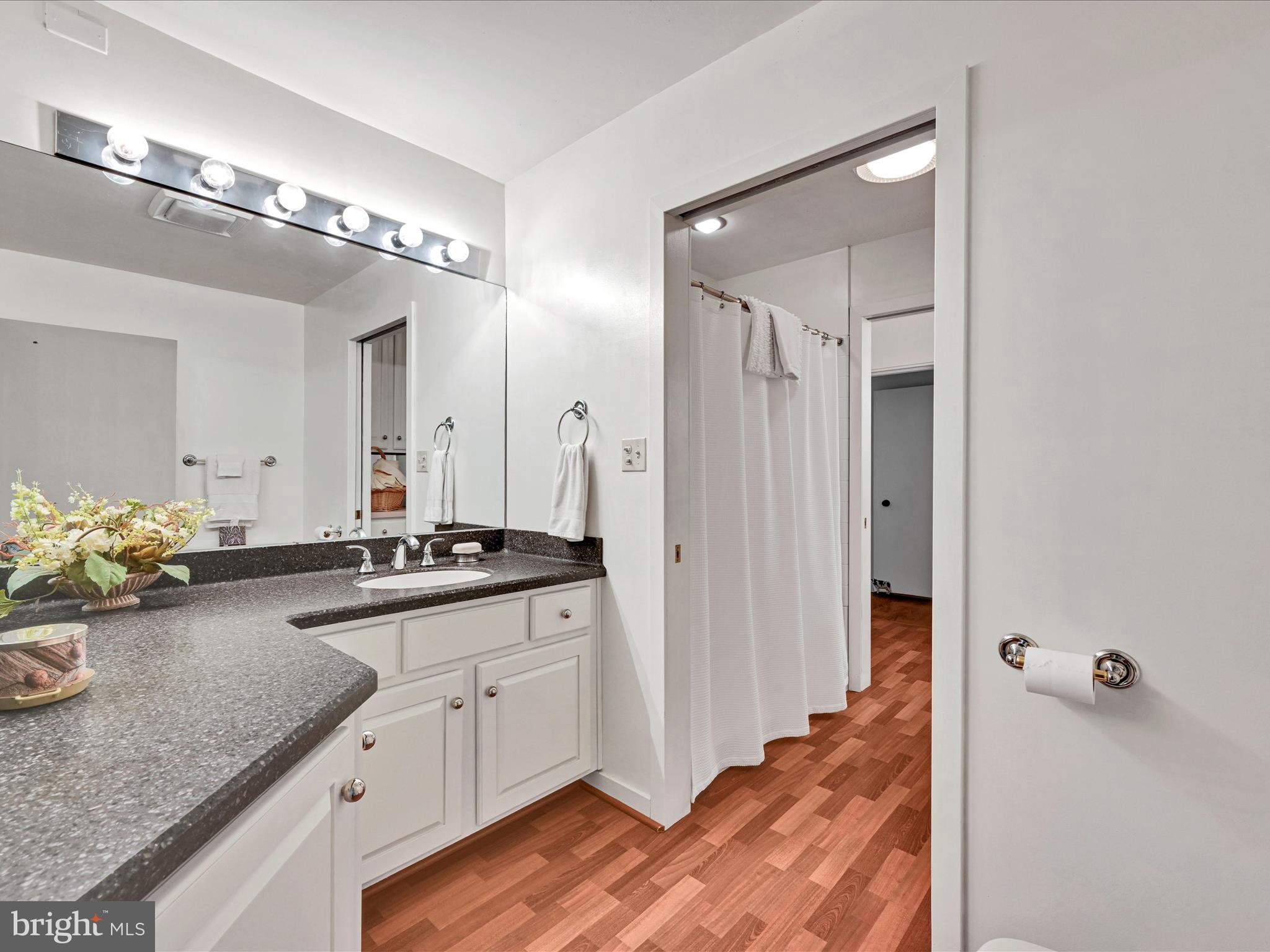 375 Mt Zion Road Dillsburg, PA 17019 - Photo 41 of 57 a bathroom with a granite countertop sink a large mirror and a shower