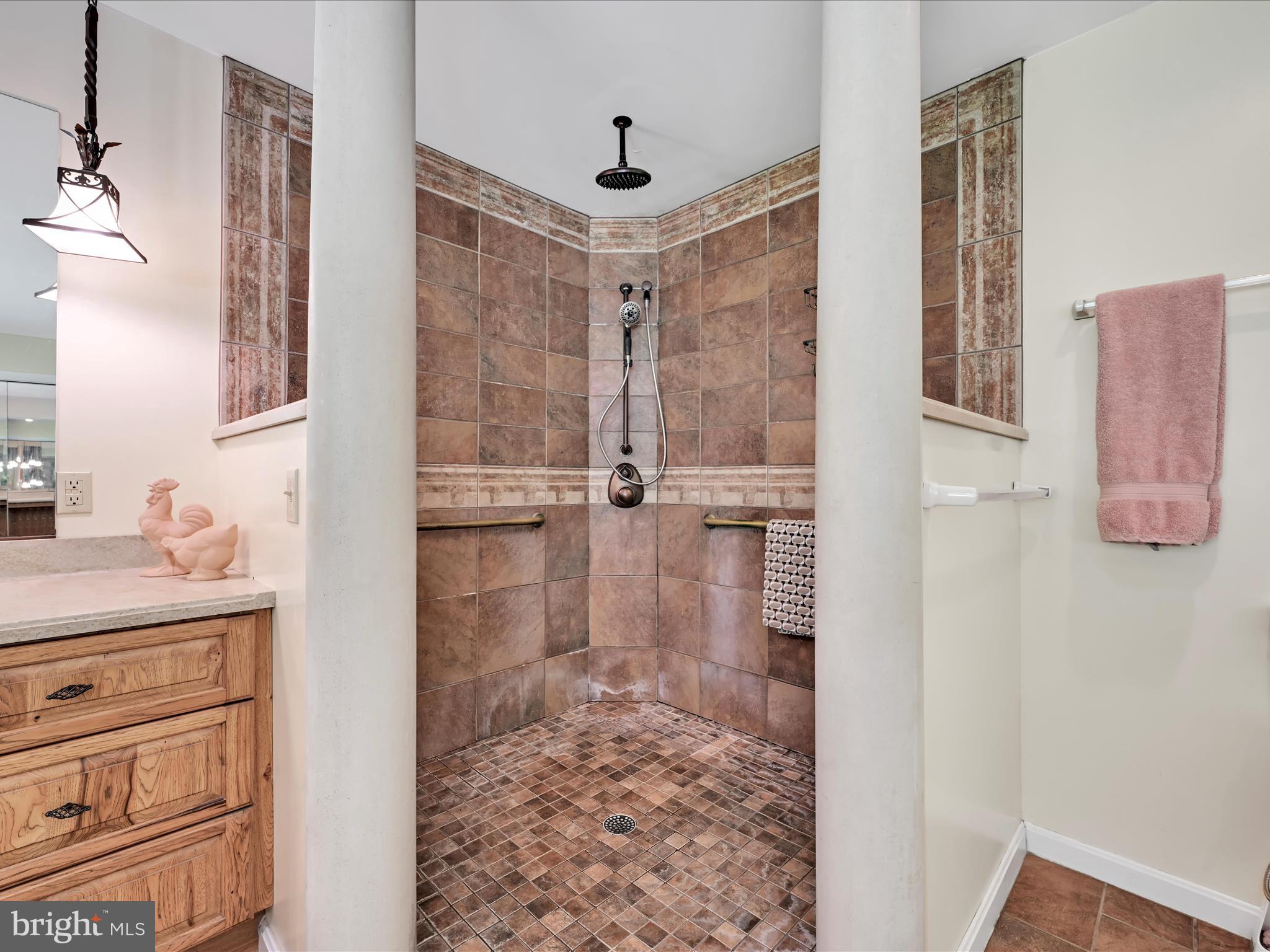 375 Mt Zion Road Dillsburg, PA 17019 - Photo 51 of 58 Secondary Suite Shower