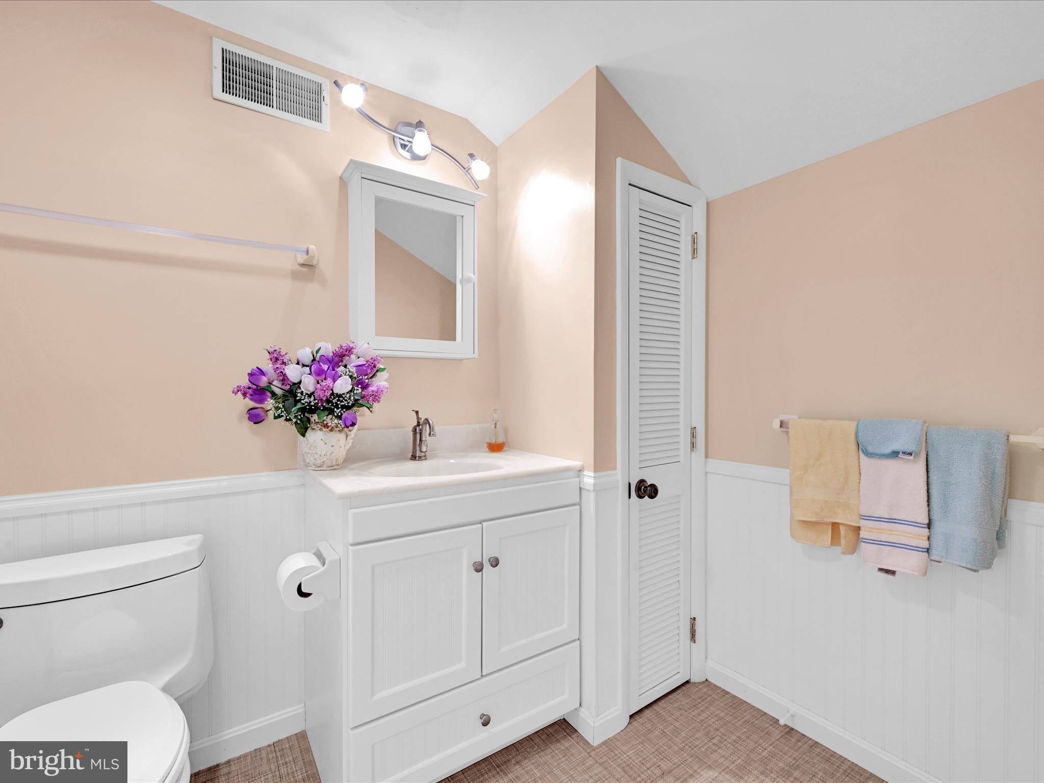 375 Mt Zion Road Dillsburg, PA 17019 - Photo 53 of 58 Secondary Suite Loft Bathroom