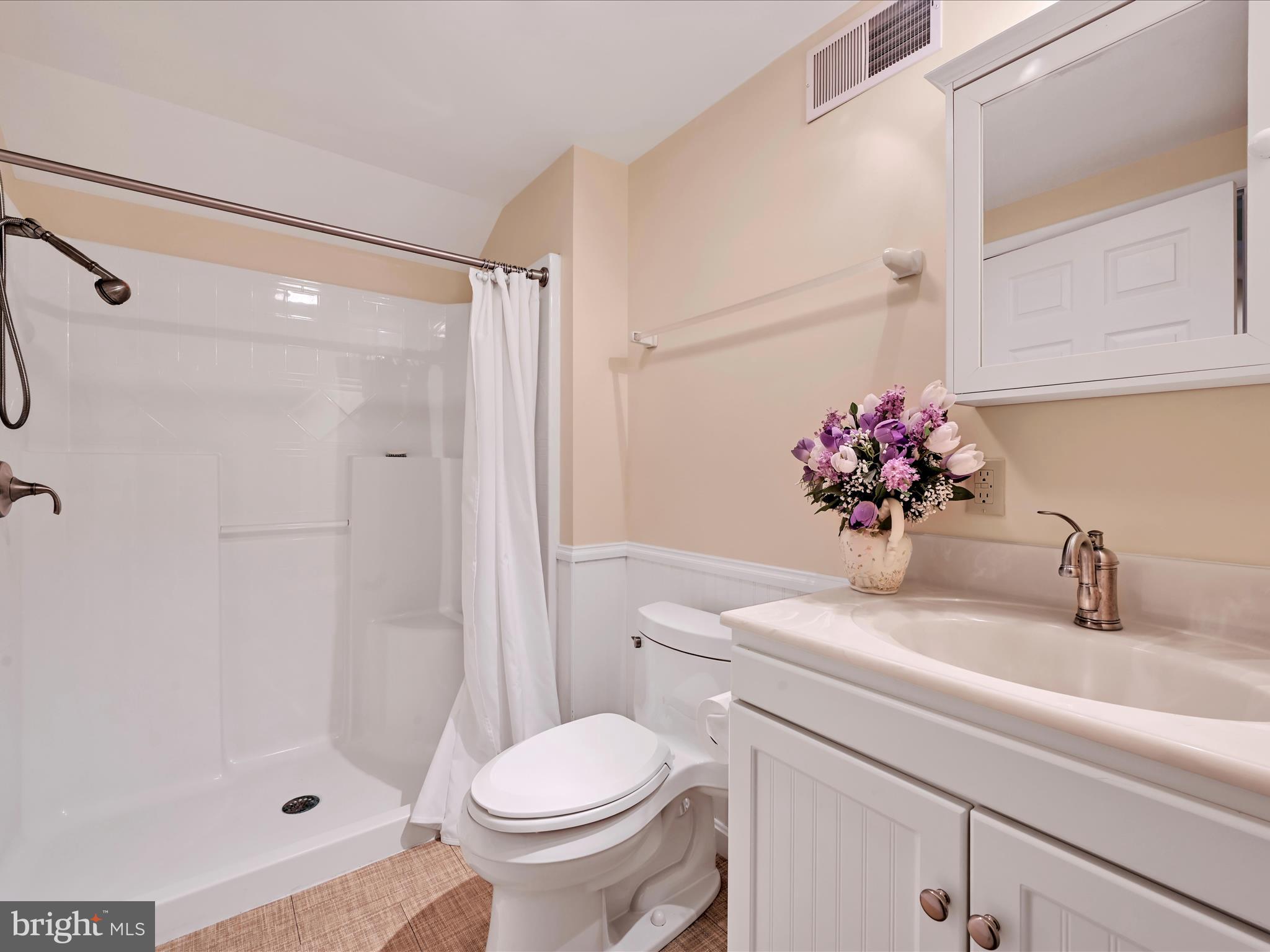 375 Mt Zion Road Dillsburg, PA 17019 - Photo 54 of 58 Secondary Suite Bathroom 2