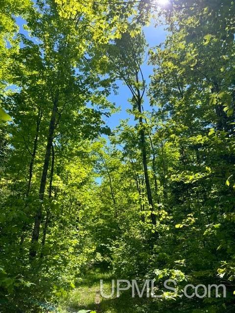 54335 Gay Road Lake Linden, MI 49945 - Photo 28 of 41