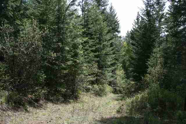 0 Major Road Chewelah, WA 99109 - Photo 1 of 7 Gallery Image 1