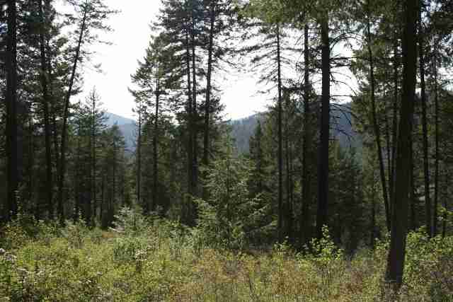0 Major Road Chewelah, WA 99109 - Photo 3 of 7 Gallery Image 3