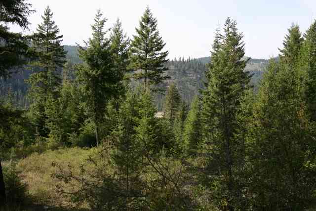 0 Major Road Chewelah, WA 99109 - Photo 5 of 7 Gallery Image 5